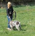 IMG_6060