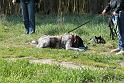 IMG_6070