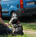 IMG_6112
