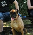IMG_6530